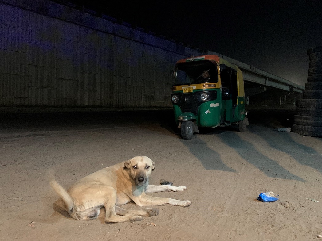 インドの夕暮れ